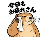 タオルで汗をふくマーモットと「今日もお疲れさん」の文字